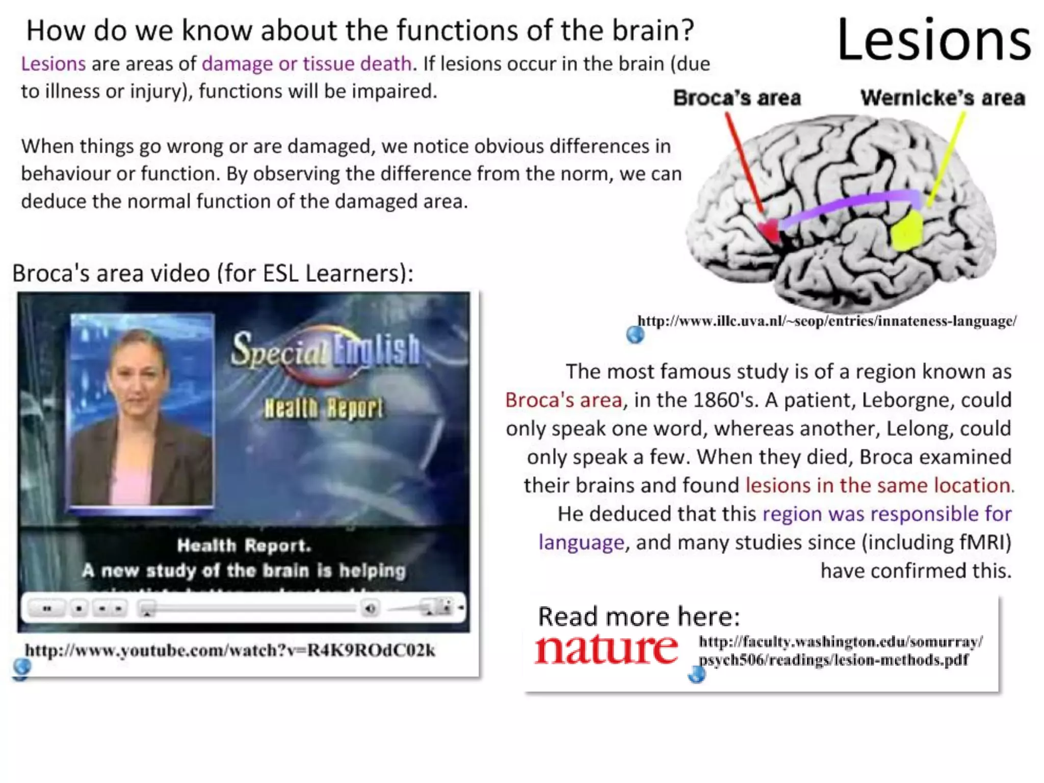 Slide 8