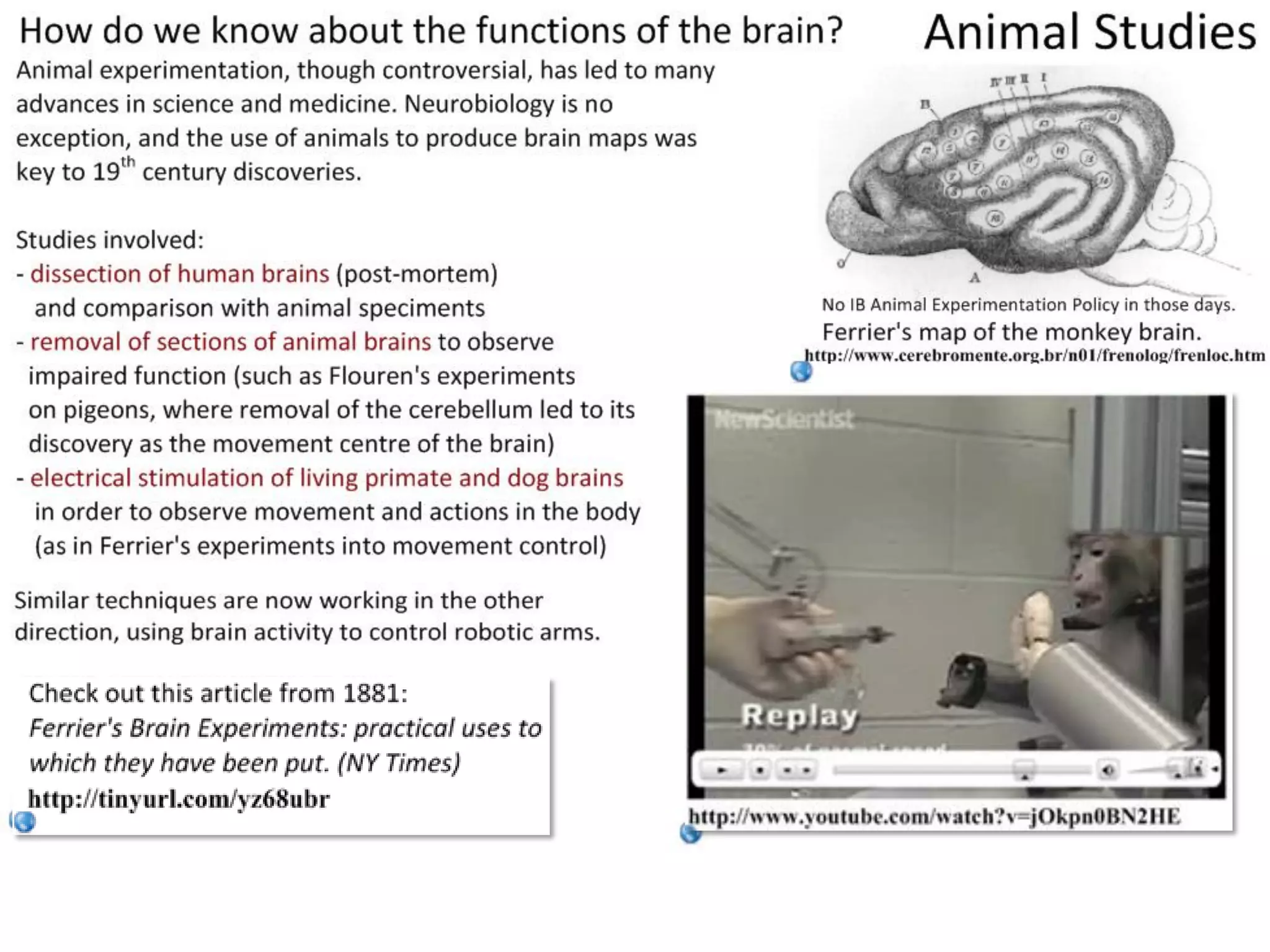 Slide 9