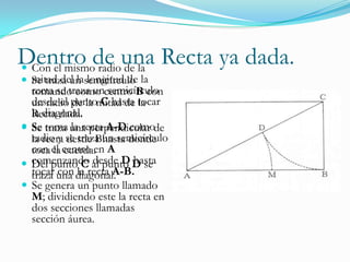 SECCION AUREAUSOS Y APLICACIONES A LA ARQUITECTURA