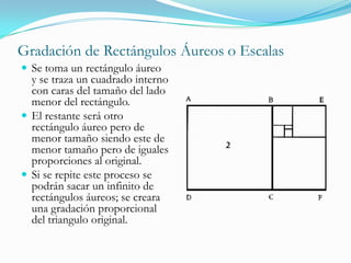 Se traza un cuadrado con los lados de la misma longitud de la recta A-B.Se prolonga la recta  conservando su dirección de A hacia B.Se parte la recta inicial por la mitad y de ese este punto b se traza una diagonal de el hacia el vértice del cuadrado superior a B.Esta diagonal se toma como la longitud del radio de un semicírculo con el centro en el punto by se traza la cuerda hasta tocar la prolongación de la recta.El punto resultante llamado C es la segunda división de la sección áurea.Complementando una Recta ya dada.