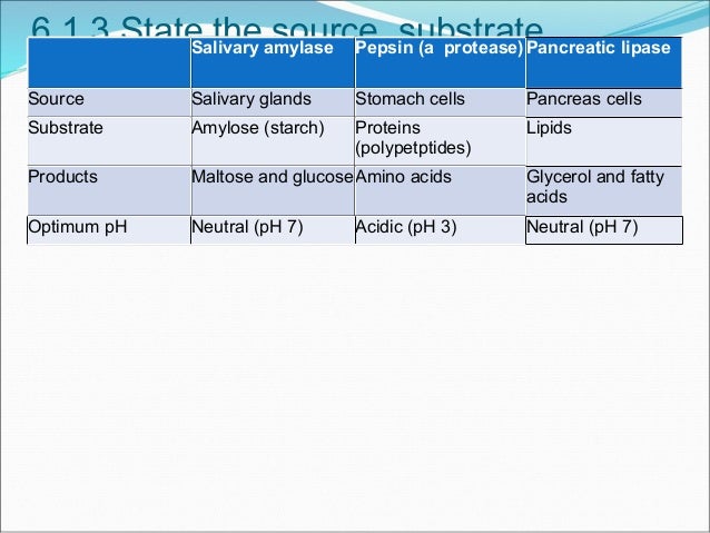 6_1_Digestion_Eunji trypsin reaction diagram 