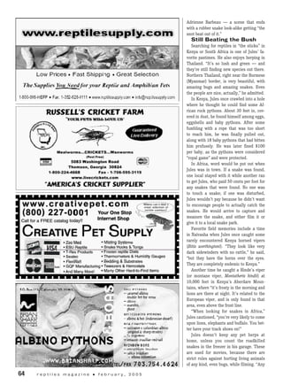 Adrienne Barbeau — a scene that ends
with a rubber snake look-alike getting “the
snot beat out of it.”
Still Beating the Bush
Searching for reptiles in “the sticks” in
Kenya or South Africa is one of Jules’ fa-
vorite pastimes. He also enjoys herping in
Thailand. “It’s so lush and green — and
they’re still finding new species out there.
Northern Thailand, right near the Burmese
(Myanmar) border, is very beautiful, with
amazing bugs and amazing snakes. Even
the people are nice, actually,” he admitted.
In Kenya, Jules once crawled into a hole
where he thought he could find some Af-
rican rock pythons. About 30 feet in, cov-
ered in dust, he found himself among eggs,
eggshells and baby pythons. After some
fumbling with a rope that was too short
to reach him, he was finally pulled out,
along with 18 baby pythons that had bitten
him profusely. He was later fined $100
per baby, as the pythons were considered
“royal game” and were protected.
In Africa, word would be put out when
Jules was in town. If a snake was found,
one local stayed with it while another ran
to get Jules, who paid 50 cents per foot for
any snakes that were found. No one was
to touch a snake; if one was disturbed,
Jules wouldn’t pay because he didn’t want
to encourage people to actually catch the
snakes. He would arrive to capture and
measure the snake, and either film it or
give it to a local snake park.
Favorite field memories include a time
in Naivasha when Jules once caught some
rarely encountered Kenya horned vipers
(Bitis worthingtoni). “They look like very
dark sidewinders with no rattle,” he said,
“but they have the horns over the eyes.
They are completely endemic to Kenya.”
Another time he caught a Hinde’s viper
(or montane viper, Montatheris hindii) at
10,000 feet in Kenya’s Aberdare Moun-
tains, where “it’s frosty in the morning and
lions are there at night. It’s related to the
European viper, and is only found in that
area, even above the frost line.
“When looking for snakes in Africa,”
Jules cautioned, “you’re very likely to come
upon lions, elephants and buffalo. You bet-
ter have your track shoes on!”
Jules doesn’t keep any pet herps at
home, unless you count the roadkilled
snakes in the freezer in his garage. These
are used for movies, because there are
strict rules against hurting living animals
of any kind, even bugs, while filming. “Any
64	 r e p t i l e s m a g a z i n e • f e b r u a r y , 2 0 0 5
 