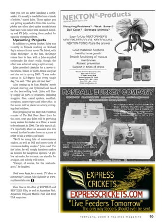 time you see an actor handling a rattle-
snake, it’s usually a roadkilled one or made
of rubber,” stated Jules. Those spiders you
see getting squashed in films like Arachno­
phobia are often shed spider exoskeletons
that have been filled with mustard, ketch-
up and KY Jelly, making them perfect for
squashy stomping effects.
Upcoming Projects
In addition to Lemony Snicket, Jules was
recently in Nevada working on Michael
Bay’s science fiction movie The Island, with
Ewan McGregor. In the film, McGregor
comes face to face with a Jules-supplied
rattlesnake (he didn’t really, though; the
effect was achieved using a split screen).
Jules provided cheetahs for a movie ti-
tled Duma, filmed in South Africa last year
and due out in spring 2005. “I was under
canvas in 125-degree heat every single
day,” he said. “That gets old real fast.”
Also coming up is Sam Mendes’ movie
Jarhead, starring Jake Gyllenhall and based
on the best-selling book. Jules will like-
ly supply all sorts of creatures, including
maggots, flies, camel spiders, sandfish,
scorpions, carpet vipers and others that, in
the movie, will be placed on actors portray-
ing dead soldiers.
Now prepping for the Billy Bob Thornton
remake of The Bad News Bears (rats for
this one), next year Jules will be providing
many snakes for Snakes on a Plane, a movie
to be released in 2006. The title says it all:
It’s reportedly about an assassin who lets
several hundred snakes loose on a plane in
order to kill a witness on board.
“We’ll be using lots of nonvenomous
snakes, as well as CGI and insert shots of
venomous-looking snakes,” Jules said. For
the latter, he will supply harmless snakes
as doubles for dangerous species. “A yel-
low rat snake, for instance, can stand in for
a taipan, and nobody will notice.
“Except, of course, for the snakeolo-
gists,” he laughed.
Need some herps for a movie, TV show or
commercial? Contact Jules Sylvester at www.
reptilerentals.com.
Russ Case is the editor of REPTILES and
REPTILES USA, as well as Aquarium Fish,
Aquarium USA and Marine Fish and Reef
USA magazines.
	 f e b r u a r y , 2 0 0 5 • r e p t i l e s m a g a z i n e 	 65
 