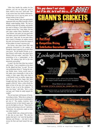 “After they handle the snakes for five
minutes, you can see them get used to
them, which is very cool,” Jules said. “But
if any actors have any doubts whatsoever,
all they have to do is say my name, as I’m
always within 6 feet of them.”
On Lemony Snicket, Jules was particularly
impressed with actor Billy Connolly’s (Uncle
Monty) snake-handling skills: “He had no
problem acting with the snakes, and quickly
got used to having a 7-foot albino Burmese
wrapped around him.” Liam Aiken, the boy
who plays orphan Klaus Baudelaire, was
“very demure, very quiet, but very good with
the snakes, and very comfortable. There was
trust there,” Jules said. At one point Aiken
had a bunch of Russian rat snakes around
his neck, but because he knew the names of
all the snakes, he wasn’t nervous at all.
Jim Carrey, who plays Count Olaf, was
genuinely interested in the snakes, al-
though he wasn’t required to act with them
very much. “He did handle Petunia, an al-
bino Nelson’s milk snake, who plays Uncle
Monty’s little pet snake,” said Jules. “He’s
pretending to be a ‘snakeologist’ in the
movie. The makeup they did on Jim was
absolutely astounding.”
It wasn’t the first time Jules has worked
with Carrey. “I put a tarantula on his chest
for Me, Myself and Irene,” he said. “He was
very professional about it.” During the Lem­
ony Snicket shoot, Carrey would come to
the snake room occasionally to look at the
snakes in their cages (they were kept in
a well-heated room on another stage away
from the set, in Vision Cages that Jules
brought with him). One time, Carrey’s “eyes
popped a little bit” when a cobra struck the
glass in front of his face, but it gave him a
chance to ham it up for the onlookers. “It
was very funny,” said Jules. “Jim’s a very
cool guy, and I think he really enjoyed the
snakes.”
The set was kept cold because of Carrey.
According to Jules, “When Jim is acting, he
gets very hot when he puts everything he’s
got into it.” The snakes, however, were
warmed not just in their heated cages, but
also by the lights on the set. “They need to
be warm and moving on the set,” said Jules.
“Otherwise, the production might as well
use rubber snakes.”
Lemony Snicket was a dream job for Jules.
It was also an easy shoot. “The only two
snakes that had to ‘act’ were the big albino
Bur­mese and Petunia — she had to crawl
across the floor and head toward the cam-
era.”
	 f e b r u a r y , 2 0 0 5 • r e p t i l e s m a g a z i n e 	 57
 