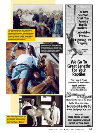 f e b r u a r y , 2 0 0 5 • r e p t i l e s m a g a z i n e 	 59
The Komodo monitor that appeared in
the 1990 comedy The Freshman was ac-
tually a water monitor supplied by Jules.
Pictured from left to right are Matthew
Broderick, animal trainer Jim Brockett,
Marlon Brando, Jules Sylvester, Gina
Brockett and Sue Sylvester.
courtesyjulessylvestercourtesyjulessylvester
courtesyjulessylvester
During filming of The Hulk movie,
Jules maneuvers a red tegu with
an assist from prop master Jerry
Ross. Note the bearded dragon
relaxing on a nearby branch.
Jules still trains mammals and
acts occasionally too. Here he
is in costume, with a wolf and
Anthony Hopkins (right), on the
set of The Road to Wellville.
 