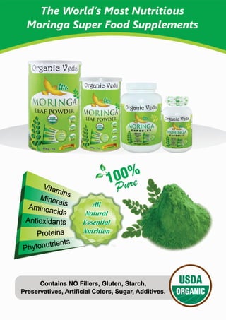 Moringa - E-brochure
