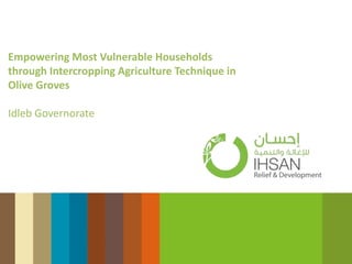 Empowering Most Vulnerable Households
through Intercropping Agriculture Technique in
Olive Groves
Idleb Governorate
 