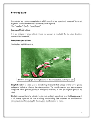 7
Syntrophism-
Syntrophism is a symbiotic association in which growth of one organism is supported/ improved
by growth factors or metabolites, secreted by other organism.
(Syn-“together”, Trophe- “nourishment”)
Features of Syntrophism-
It is an obligatory; ectosymbiosis where one partner is beneficial for the other (positive,
unidirectional interaction).
Example of Syntrophism-
Phyllosphere and Rhizosphere
The phyllosphere is a term used in microbiology to refer to leaf surfaces or total above-ground
surfaces of a plant as a habitat for microorganisms. The plant leaves and stem secrete organic
compound, which prevent growth of pathogenic microbes; in turn, phyllosphere protects the
plant.
The below-ground bacterial habitats (i.e. the root surfaces) are referred to as the Rhizosphere. It
is the narrow region of soil that is directly influenced by root secretions and associated soil
microorganisms which induce N2 fixation, root-hair formation in plants.
Electron micrograph showing bacteria on the surface of an Arabidopsis leaf
 