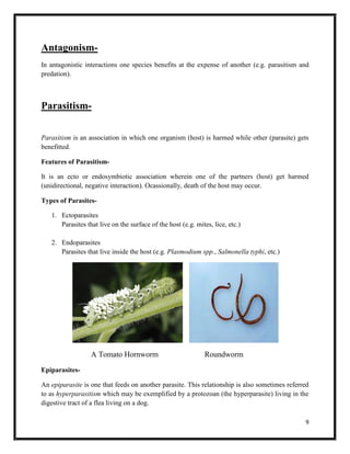 9
Antagonism-
In antagonistic interactions one species benefits at the expense of another (e.g. parasitism and
predation).
Parasitism-
Parasitism is an association in which one organism (host) is harmed while other (parasite) gets
benefitted.
Features of Parasitism-
It is an ecto or endosymbiotic association wherein one of the partners (host) get harmed
(unidirectional, negative interaction). Ocassionally, death of the host may occur.
Types of Parasites-
1. Ectoparasites
Parasites that live on the surface of the host (e.g. mites, lice, etc.)
2. Endoparasites
Parasites that live inside the host (e.g. Plasmodium spp., Salmonella typhi, etc.)
A Tomato Hornworm Roundworm
Epiparasites-
An epiparasite is one that feeds on another parasite. This relationship is also sometimes referred
to as hyperparasitism which may be exemplified by a protozoan (the hyperparasite) living in the
digestive tract of a flea living on a dog.
 