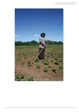 Strengthening Disaster Risk Governance:
UNDP Support during the HFA Implementation Period 2005 – 2015
39
Member of a programme offering new farming techniques. © IRIN/Tomas de Mul.
 