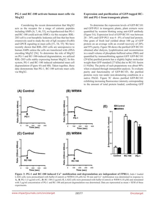 Oncotarget28577www.impactjournals.com/oncotarget
PG-1 and RC-100 activate human mast cells via
MrgX2
Considering the recent demonstration that MrgX2
acts as the receptor for a range of cationic peptides
including AMPs [6, 7, 46, 53], we hypothesized that PG-1
and RC-100 could activate HMCs via this receptor. RBL-
2H3 cell is a rat basophilic leukemia cell line that has been
extensively used to study the role of IgE receptor (FcεRI)
and GPCR signaling in mast cells [51, 54, 55]. We have
recently shown that RBL-2H3 cells are unresponsive to
human AMPs unless the cells are transfected with cDNA
encoding MrgX2 [56]. To determine the role of MrgX2
on PG-1 and RC-100-induced degranulation, we utilized
RBL-2H3 cells stably expressing human MrgX2. In this
system, PG-1 and RC-100 induced substantial mast cell
degranulation (Figure 4A and 4B). Taken together, these
data demonstrate that PG-1, RC-100 activate mast cells
via MrgX2.
Expression and purification of GFP-tagged RC-
101 and PG-1 from transgenic plants
To determine the expression levels of GFP-RC101
and GFP-PG1 in transgenic plants, plant extracts were
quantified by western blotting using anti-GFP antibody
(Figure 5A). Expression level of GFP-RC101 was between
20 - 34% and GFP-PG1 was 4 - 8% of total leaf protein.
One gram of fresh leaf yielded about 100 µg of GFP
protein on an average with an overall recovery of 20%
and 95% purity. Figure 5B shows the purified GFP-RC101
obtained after dialysis, lyophilization and reconstitution
in a small volume of phosphate-buffered saline (PBS) and
quantified by immunoblotting against GFP. GFP-RC101
(29 kDa) purified protein has a slightly higher molecular
weight than GFP standard (27 kDa) due to RC101 fusion
(1.9 kDa). The purity of such preparations was about 90%
when evaluated through immunoblot analysis. To evaluate
purity and functionality of GFP-RC101, the purified
proteins were run under non-denaturing conditions in a
native PAGE. Figure 5C shows purified GFP-RC101
exhibiting increasing fluorescence intensity corresponding
to the amount of total protein loaded, confirming GFP
Figure 3: PG-1 and RC-100 induced Ca2+
mobilization and degranulation are independent of FPRL1. Indo-1 loaded
LAD2 cells were preincubated with buffer (Control) or WRW4 (10 µM) for 30 min and Ca2+
mobilization was determined in response to
A., B. PG-1 (3 µg/ml) or C., D. RC-100 (3 µg/ml). E. LAD2 cells were pretreated with buffer (Control) or WRW4 (10 µM) and stimulated
with 3 µg/ml concentration of PG-1 and RC-100 and percent degranulation was determined. Data are represented as mean ± SEM of three
experiments.
 