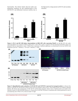 Oncotarget28578www.impactjournals.com/oncotarget
functionality. The distinct bands observed under non-
denaturing conditions are due multimerization of the
GFP-RC101 and differential electrical mobility due to
the high positive charge present on RC101 and secondary
structures.
Figure 4: PG-1 and RC-100 induce degranulation in RBL-2H3 cells expressing MrgX2. A., B. RBL-2H3 cells stably
expressing MrgX2 were exposed to buffer (Control), PG-1 or RC-100 (3 µg/ml, 5 µg/ml) for 30 min and β-hexosaminidase release was
measured. Data are represented as mean ± SEM of three experiments. Statistical significance was determined by one-way ANOVA with
Bonferroni’s post test. * indicates p < 0.01 and ** indicates p < 0.001.
Figure 5: Quantification and evaluation of GFP-RC101 and GFP-PG1 expressed in transgenic plants. A. Western blot
analysis of GFP-RC101 and GFP-PG1 protein extracts from the transgenic tobacco leaves. Total Soluble Protein was loaded at indicated
dilutions. B. Western blot quantification of GFP- RC101 purified from transgenic tobacco leaves. Purified protein was loaded at the
indicated volumes of 100X and 200X dilutions. C. Fluorescence of GFP-RC101 protein is maintained after column purification as seen in
non denaturing native PAGE (12%), observed under UV light.
 