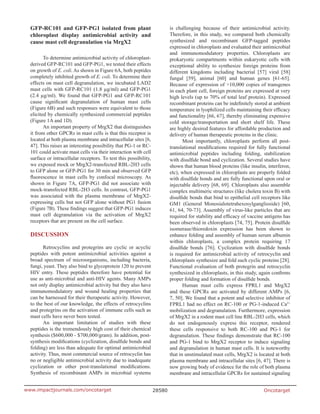 Oncotarget28580www.impactjournals.com/oncotarget
GFP-RC101 and GFP-PG1 isolated from plant
chloroplast display antimicrobial activity and
cause mast cell degranulation via MrgX2
To determine antimicrobial activity of chloroplast-
derived GFP-RC101 and GFP-PG1, we tested their effects
on growth of E. coli. As shown in Figure 6A, both peptides
completely inhibited growth of E. coli. To determine their
effects on mast cell degranulation, we incubated LAD2
mast cells with GFP-RC101 (1.8 µg/ml) and GFP-PG1
(2.4 µg/ml). We found that GFP-PG1 and GFP-RC101
cause significant degranulation of human mast cells
(Figure 6B) and such responses were equivalent to those
elicited by chemically synthesized commercial peptides
(Figure 1A and 1D).
An important property of MrgX2 that distinguishes
it from other GPCRs in mast cells is that this receptor is
located at both plasma membrane and intracellular sites [6,
47]. This raises an interesting possibility that PG-1 or RC-
101 could activate mast cells via their interaction with cell
surface or intracellular receptors. To test this possibility,
we exposed mock or MrgX2-transfected RBL-2H3 cells
to GFP alone or GFP-PG1 for 30 min and observed GFP
fluorescence in mast cells by confocal microscopy. As
shown in Figure 7A, GFP-PG1 did not associate with
mock-transfected RBL-2H3 cells. In contrast, GFP-PG1
was associated with the plasma membrane of MrgX2-
expressing cells but not GFP alone without PG1 fusion
(Figure 7B). These findings suggest that GFP-PG1 induces
mast cell degranulation via the activation of MrgX2
receptors that are present on the cell surface.
DISCUSSION
Retrocyclins and protegrins are cyclic or acyclic
peptides with potent antimicrobial activities against a
broad spectrum of microorganisms, including bacteria,
fungi, yeast. They also bind to glycoprotein 120 to prevent
HIV entry. These peptides therefore have potential for
use as anti-microbial and anti-HIV agents. Many AMPs
not only display antimicrobial activity but they also have
immunomodulatory and wound healing properties that
can be harnessed for their therapeutic activity. However,
to the best of our knowledge, the effects of retrocyclins
and protegrins on the activation of immune cells such as
mast cells have never been tested.
An important limitation of studies with these
peptides is the tremendously high cost of their chemical
synthesis ($600,000 - $700,000/gram). In addition, post-
synthesis modifications (cyclization, disulfide bonds and
folding) are less than adequate for optimal antimicrobial
activity. Thus, most commercial source of retrocyclin has
no or negligible antimicrobial activity due to inadequate
cyclization or other post-translational modifications.
Synthesis of recombinant AMPs in microbial systems
is challenging because of their antimicrobial activity.
Therefore, in this study, we compared both chemically
synthesized and recombinant GFP-tagged peptides
expressed in chloroplasts and evaluated their antimicrobial
and immunomodulatory properties. Chloroplasts are
prokaryotic compartments within eukaryotic cells with
exceptional ability to synthesize foreign proteins from
different kingdoms including bacterial [57] viral [58]
fungal [59], animal [60] and human genes [61-65].
Because of expression of >10,000 copies of transgenes
in each plant cell, foreign proteins are expressed at very
high levels (up to 70% of total leaf protein). Expressed
recombinant proteins can be indefinitely stored at ambient
temperature in lyophilized cells maintaining their efficacy
and functionality [66, 67], thereby eliminating expensive
cold storage/transportation and short shelf life. These
are highly desired features for affordable production and
delivery of human therapeutic proteins in the clinic.
Most importantly, chloroplasts perform all post-
translational modifications required for fully functional
antimicrobial peptides including folding, stabilization
with disulfide bond and cyclization. Several studies have
shown that human blood proteins (like insulin, interferon,
etc), when expressed in chloroplasts are properly folded
with disulfide bonds and are fully functional upon oral or
injectable delivery [68, 69]. Chloroplasts also assemble
complex multimeric structures (like cholera toxin B) with
disulfide bonds that bind to epithelial cell receptors like
GM1 (General Monosialotetrahexosylganglioside) [60,
61, 64, 70-73]. Assembly of virus-like particles that are
required for stability and efficacy of vaccine antigens has
been observed in chloroplasts [74, 75]. Protein disulfide
isomerase/thioredoxin expression has been shown to
enhance folding and assembly of human serum albumin
within chloroplasts, a complex protein requiring 17
disulfide bonds [76]. Cyclization with disulfide bonds
is required for antimicrobial activity of retrocyclin and
chloroplasts synthesize and fold such cyclic proteins [28].
Functional evaluation of both protegrin and retrocyclin
synthesized in chloroplasts, in this study, again confirms
proper folding and formation of disulfide bonds.
Human mast cells express FPRL1 and MrgX2
and these GPCRs are activated by different AMPs [6,
7, 50]. We found that a potent and selective inhibitor of
FPRL1 had no effect on RC-100 or PG-1-induced Ca2+
mobilization and degranulation. Furthermore, expression
of MrgX2 in a rodent mast cell line RBL-2H3 cells, which
do not endogenously express this receptor, rendered
these cells responsive to both RC-100 and PG-1 for
degranulation. These findings demonstrate that RC-100
and PG-1 bind to MrgX2 receptor to induce signaling
and degranulation in human mast cells. It is noteworthy
that in unstimulated mast cells, MrgX2 is located at both
plasma membrane and intracellular sites [6, 47]. There is
now growing body of evidence for the role of both plasma
membrane and intracellular GPCRs for sustained signaling
 