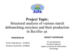 Project Topic:
Structural analysis of various starch
debranching enzymes and their production
in Bacillus sp.
PRESENTED BY
Tushar Singh Barwal [123811]
Shubham Vashishtha [123802]
PROJECT SUPERVISOR
Dr. Saurab Bansal
Assistant Professor
Jaypee university Of Imformation
Technology
 