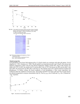ISSN 2320-5407 International Journal of Advanced Research (2014), Volume 2, Issue 9, 485-503
491
Kinetic properties
Acid phosphatase from leaves had optimum pH at 5.5 (Fig.8) which was consistent with other pH optima, 5.0-6.0
(Jagielloet al., 1992., Ferreira et al., 1998). The pH stability was found between pH 4 and 7 (Fig.9). The enzyme had
optimum temperature of 60°C (Fig.10) and showed temperature stability around 50°C (Fig.11).The enzyme was
stable at 40- 50°C.At 60°C the enzyme lost 5% activity after 5 min, at 70°C the enzyme lost 40% activity after 5 min
and at 80°C the enzyme lost was 98% after 5 min (Fig.12). This attitude seems to be a general character of plant acid
phosphatases. To further evaluate the kinetic properties of acid phosphatase, a time course experiment was
conducted under the conditions of enzyme assay. The product formation was linear with time (Fig.13) and velocity
was directly proportinol to enzyme concentration (Fig.14). The Km obtained was 0.3mM and Vmax was 1336nmol.sec-
1
.mg-1
of protein.
1 2
Fig. 7 SDS-polyacrylamide gel electrophoresis of Peak A
obtained from HPLC.
Lane 1 Protein markers as mentioned in Fig 4a.
Lane 2 10μl of isoenzyme (Peak A).
Fig. 5 (b) Linear graph of log moleculr weight versus eluton volumes of standard
proteins (1) Bovine serum albumin (Mr 66,000), Ve 98ml; (2) Carbonic
anhydrase (Mr 29,000), Ve 126ml; (3) Cytochrome c (Mr 12,400),
Ve 148ml; (4) Aprotinin (Mr 6,500).
Arrows show the molecular weight of isoenzymes.
2
2.5
3
3.5
4
19 kDa
4.5
5
5.5
29 kDa
6
80 100 120 140 160 180 200
Ve (ml)
log M. wt.
1
2
3
4
Fig. 8 pH optimum of acid phosphatase activity.
0
0.2
0.4
0.6
0.8
1
1.2
1.4
1.6
1.8
2
3 3.5 4 4.5 5 5.5 6 6.5
pH
∆A405
 