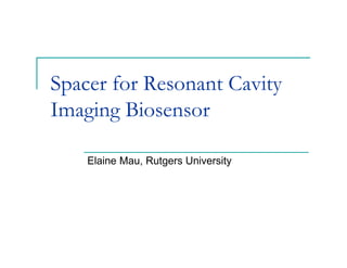 Spacer for Resonant Cavity
Imaging Biosensor
Elaine Mau, Rutgers University
 