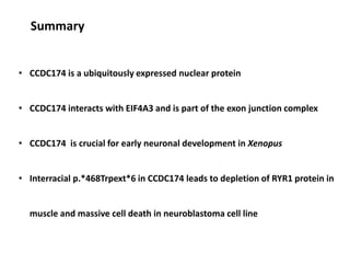 Summary
• CCDC174 is a ubiquitously expressed nuclear protein
• CCDC174 interacts with EIF4A3 and is part of the exon junction complex
• CCDC174 is crucial for early neuronal development in Xenopus
• Interracial p.*468Trpext*6 in CCDC174 leads to depletion of RYR1 protein in
muscle and massive cell death in neuroblastoma cell line
 