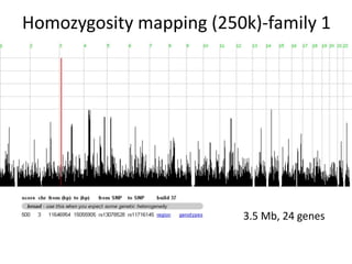 Homozygosity mapping (250k)-family 1
3.5 Mb, 24 genes
 