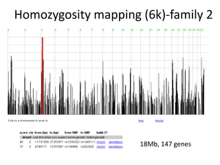 18Mb, 147 genes
Homozygosity mapping (6k)-family 2
 