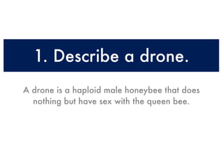1. Describe a drone.
A drone is a haploid male honeybee that does
  nothing but have sex with the queen bee.
 