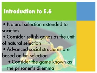 Introduction to E.6

•Natural selection extended to
societies
•Consider selfish genes as the unit
of natural selection
•Advanced social structures are
based on kin selection
   •Consider the game known as
   the prisoner’s dilemma
 