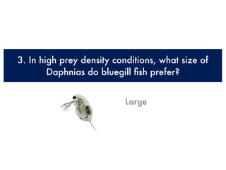 3. In high prey density conditions, what size of
        Daphnias do bluegill ﬁsh prefer?


                           Large
 