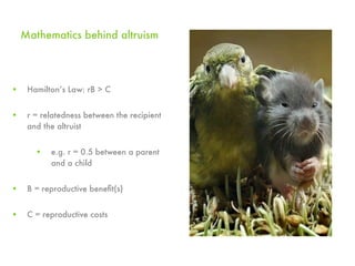 Mathematics behind altruism




•    Hamilton’s Law: rB > C


•    r = relatedness between the recipient
     and the altruist


       •   e.g. r = 0.5 between a parent
           and a child


•    B = reproductive beneﬁt(s)


•    C = reproductive costs
 