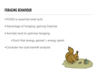 FORAGING BEHAVIOUR

• FOOD is essential (well duh)

• Advantage of foraging: gaining Calories

• Animals tend to optimise foraging

     • Such that energy gained > energy spent

• Consider the cost-beneﬁt analysis
 