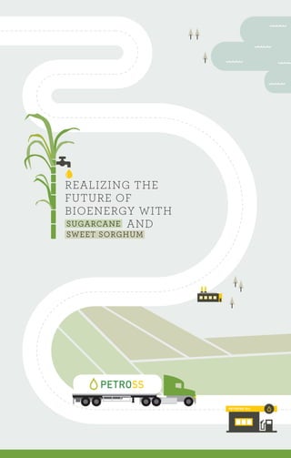 REALIZING THE
FUTURE OF
BIOENERGY WITH
SUGARCANE AND
SWEET SORGHUM
PETROSS OIL
 