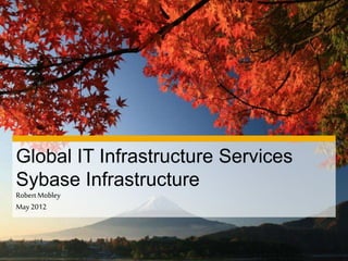 Global IT Infrastructure Services
Sybase Infrastructure
RobertMobley
May2012
 