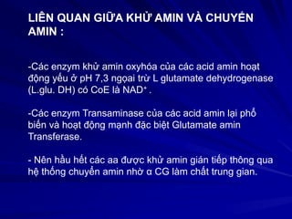LIÊN QUAN GIỮA KHỬ AMIN VÀ CHUYỂN
AMIN :
-Các enzym khử amin oxyhóa của các acid amin hoạt
động yếu ở pH 7,3 ngọai trừ L glutamate dehydrogenase
(L.glu. DH) có CoE là NAD+ .
-Các enzym Transaminase của các acid amin lại phổ
biến và hoạt động mạnh đặc biệt Glutamate amin
Transferase.
- Nên hầu hết các aa được khử amin gián tiếp thông qua
hệ thống chuyển amin nhờ α CG làm chất trung gian.
 
