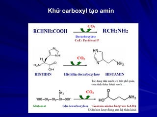 Khử carboxyl tạo amin
 