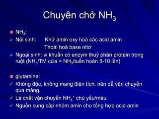 Chuyên chở NH3
NH3:
 Nội sinh: Khử amin oxy hoá các acid amin
Thoái hoá base nitơ
 Ngoại sinh: vi khuẩn có enzym thuỷ phân protein trong
ruột (NH3/TM cứa > NH3/tuần hoàn 5-10 lần)
glutamine:
 Không độc, không mang điện tích, nên dễ vận chuyển
qua màng.
 Là chất vận chuyển NH4
+ chủ yếu/máu
 Nguồn cung cấp nhóm amin cho tổng hợp acid amin
 