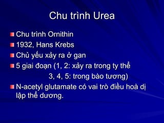 Chu trình Urea
Chu trình Ornithin
1932, Hans Krebs
Chủ yếu xảy ra ở gan
5 giai đoạn (1, 2: xảy ra trong ty thể
3, 4, 5: trong bào tương)
N-acetyl glutamate có vai trò điều hoà dị
lập thể dương.
 