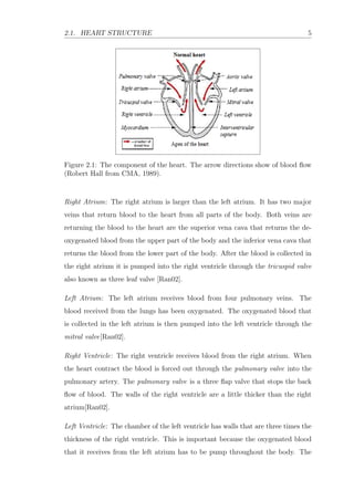 2.1. HEART STRUCTURE 5
Figure 2.1: The component of the heart. The arrow directions show of blood ﬂow
(Robert Hall from CMA, 1989).
Right Atrium: The right atrium is larger than the left atrium. It has two major
veins that return blood to the heart from all parts of the body. Both veins are
returning the blood to the heart are the superior vena cava that returns the de-
oxygenated blood from the upper part of the body and the inferior vena cava that
returns the blood from the lower part of the body. After the blood is collected in
the right atrium it is pumped into the right ventricle through the tricuspid valve
also known as three leaf valve [Ran02].
Left Atrium: The left atrium receives blood from four pulmonary veins. The
blood received from the lungs has been oxygenated. The oxygenated blood that
is collected in the left atrium is then pumped into the left ventricle through the
mitral valve[Ran02].
Right Ventricle: The right ventricle receives blood from the right atrium. When
the heart contract the blood is forced out through the pulmonary valve into the
pulmonary artery. The pulmonary valve is a three ﬂap valve that stops the back
ﬂow of blood. The walls of the right ventricle are a little thicker than the right
atrium[Ran02].
Left Ventricle: The chamber of the left ventricle has walls that are three times the
thickness of the right ventricle. This is important because the oxygenated blood
that it receives from the left atrium has to be pump throughout the body. The
 
