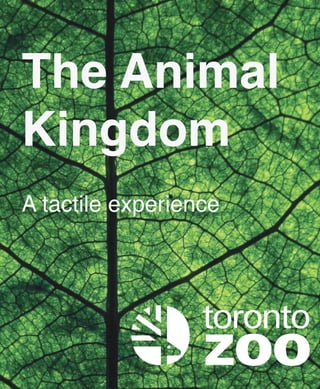 The Animal 
Kingdom 
A tactile experience 
 