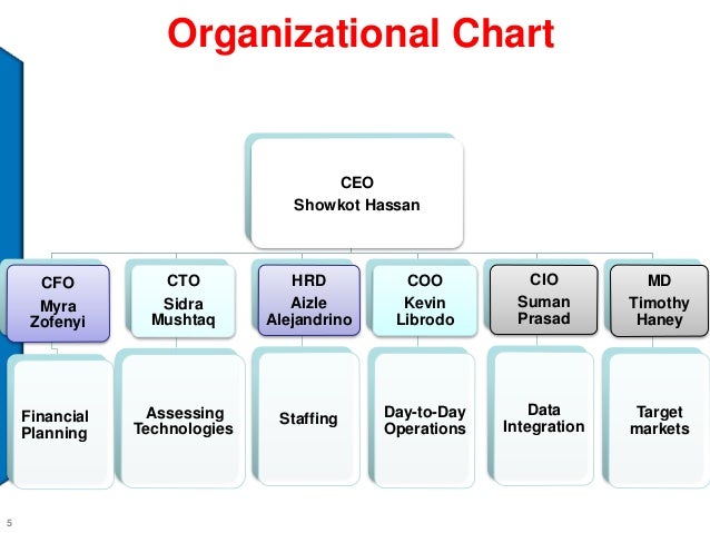 Organizational Chart For Daycare Center