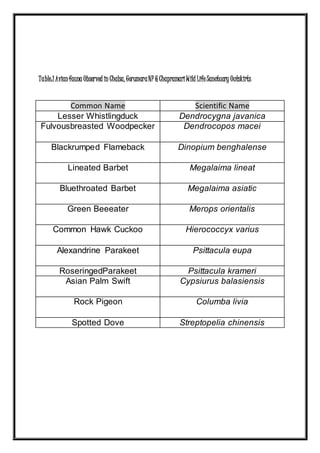 Table:1Avianfauna Observed in Chalsa, GorumaraNP &ChapramariWild LifeSanctuary Outskirts
Common Name Scientific Name
Lesser Whistlingduck Dendrocygna javanica
Fulvousbreasted Woodpecker Dendrocopos macei
Blackrumped Flameback Dinopium benghalense
Lineated Barbet Megalaima lineat
Bluethroated Barbet Megalaima asiatic
Green Beeeater Merops orientalis
Common Hawk Cuckoo Hierococcyx varius
Alexandrine Parakeet Psittacula eupa
RoseringedParakeet Psittacula krameri
Asian Palm Swift Cypsiurus balasiensis
Rock Pigeon Columba livia
Spotted Dove Streptopelia chinensis
 