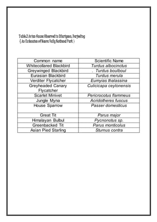 Table:2 Avian fauna Observedin Silarigaon, Darjeeling
( An Extension ofNaora VallyNational Park )
Common name Scientific Name
Whitecollared Blackbird Turdus albocinctus
Greywinged Blackbird . Turdus boulboul
Eurasian Blackbird Turdus merula
Verditer Flycatcher Eumyias thalassina
Greyheaded Canary
Flycatcher
Culicicapa ceylonensis
Scarlet Minivet Pericrocotus flammeus
Jungle Myna Acridotheres fuscus
House Sparrow Passer domesticus
Great Tit Parus major
Himalayan Bulbul Pycnonotus sp.
Greenbacked Tit Parus monticolus
Asian Pied Starling Sturnus contra
 