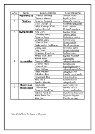 Sl.No. Family Common Names Scientific Names
1. Papilionidae Common Birdwing Troides helena
Common Mormon Papilio polytes
2. Pieridae Common Emigrant Catopsilia pomona
Great Orange Tip Hebomoia glaucippe
Indian Cabbage White Pieris canidia
Redspot Jezebel Delias descombesi,
3. Nymphalidae King Crow Euploea klugii
Chocolate Pansy Junonia iphita
Common Baron Euthalia aconthea
Common Crow Euploea core
Common Earl Tanaecia julii
Dark-branded Bushbrown Mycalesis mineus
Glassy Tiger Parantica aglea
Grey Count Tanaecia lepidea
Himalayan Five-Ring Ypthima sakra
Striped Blue Crow Euploea mulciber
Sullied Sailer Neptis soma
4. Lycaenidae Centaur Oakblue Arhopala centaurus
Common Flash Rapala nissa
Copper Flash Rapala pheretima
Green Oakblue Arhopala eumolphus
Indian Oakblue Arhopala atrax
Pale Grass Blue Pseudozizeeria maha
Silverstreak Blue Iraota timoleon
Slate Flash Rapala manea
Spotless Oakblue Arhopala fulla
5. Riodinidae Punchinello Zemeros flegyas
6. Hesperiidae Chestnut Bob Iambrix salsala
Common Small Flat Sarangesa dasahara
Fulvous Pied Flat Pseudocoladenia dan
Water Snow Flat Tagiades litigiosa
Wax Dart Cupitha purreea
Table: 5 List of Butterflies Obseved at Sillery gaon
 