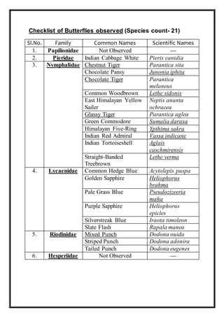 Checklist of Butterflies observed (Species count- 21)
Sl.No. Family Common Names Scientific Names
1. Papilionidae Not Observed ---
2. Pieridae Indian Cabbage White Pieris canidia
3. Nymphalidae Chestnut Tiger Parantica sita
Chocolate Pansy Junonia iphita
Chocolate Tiger Parantica
melaneus
Common Woodbrown Lethe sidonis
East Himalayan Yellow
Sailer
Neptis ananta
ochracea
Glassy Tiger Parantica aglea
Green Commodore Sumalia daraxa
Himalayan Five-Ring Ypthima sakra
Indian Red Admiral Vassa indicane
Indian Tortoiseshell Aglais
caschmirensis
Straight-Banded
Treebrown
Lethe verma
4. Lycaenidae Common Hedge Blue Acytolepis puspa
Golden Sapphire Heliophorus
brahma
Pale Grass Blue Pseudozizeeria
maha
Purple Sapphire Heliophorus
epicles
Silverstreak Blue Iraota timoleon
Slate Flash Rapala manea
5. Riodinidae Mixed Punch Dodona ouida
Striped Punch Dodona adonira
Tailed Punch Dodona eugenes
6. Hesperiidae Not Observed ---
 