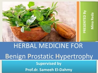 PRESENTEDBy
MinaReda
HERBAL MEDICINE FOR
Benign Prostatic Hypertrophy
Supervised by
Prof.dr. Sameeh El-Dahmy
 