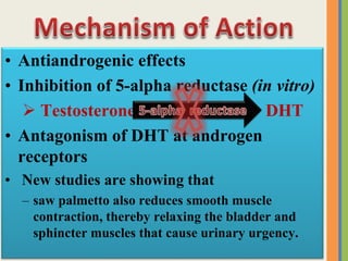 • Antiandrogenic effects
• Inhibition of 5-alpha reductase (in vitro)
 Testosterone DHT
• Antagonism of DHT at androgen
receptors
• New studies are showing that
– saw palmetto also reduces smooth muscle
contraction, thereby relaxing the bladder and
sphincter muscles that cause urinary urgency.
 