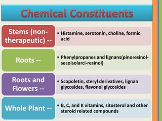 • Histamine, serotonin, choline, formic
acid
Stems (non-
therapeutic) --
• Phenylpropanes and lignans(pinoresinol-
secoisolarci-resinol)Roots --
• Scopoletin, steryl derivatives, lignan
glycosides, flavonol glycosides
Roots and
Flowers --
• B, C, and K vitamins, sitosterol and other
steroid related compoundsWhole Plant --
 