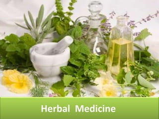 Herbal Medicine
 