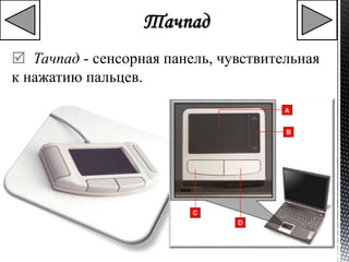 Тачпад - сенсорная панель, чувствительная 
к нажатию пальцев. 
 