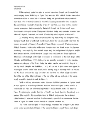 Taylor Luneau
5/10/12
Fisher not only visited the sites at varying intensities through out the month but
also at varying times. Referring to Figure 2 we note that fisher visited the sites most often
between the hours of 6 and 7am. Visitations during this period of the day account for
more than 33% of the total visitations recorded. Sixteen percent of the total visitations,
the second most, occurred between the hours of 6 and 7pm. Also note worthy, was the
varying temperature that unexpectedly fluctuated through out the two-month span.
Temperatures averaged around 27 degrees Fahrenheit during each visitation however had
a low of 3 degrees Fahrenheit on March 5th and a high of 45 degrees on March 8th.
As noted by Powell, fisher are characterized by their stocky and elongated build,
triangular head, dark fur and small rounded ears. From this we can quickly infer that the
pictures presented in Figures 3-7 are all of Fisher (Martes pennanti). What seems more
difficult however, is discerning differences between male and female sexes. As discussed
previously, males typically have a much larger body size and pronounced physical weight
than females (Powell, 1999). However Douglas and Strickland also noted significant
differences in both length and weight of juveniles in comparison to the much larger adults
(Douglas and Strickland, 1987). Males, who are generally spermatic by twelve months,
undergo an enlarging of the Testes during the winter months and reach their largest in
size by March (Douglas and Strickland, 1987). We can see in figure three what appear to
be enlarged testicles of the male fisher placed directly atop of the stump that it is perched
on. We should also note the large size of it’s tail and hind end which largely resemble
that of the size of the fisher in Figure 4. The size of the tail and hind end of this animal
largely resembles that of the male in Figure 3.
While a striking resemblance exists between the Fisher portrayed in Figures 3 and
4, there appears to be a strong difference between those and Figure 5. Here we note a
shorter and less wide tail, and more importantly a much slimmer body. The fisher in
Figure 5 is discernable smaller than that of 3 and 4 and should therefore be referred to as
another fisher entirely. The sex of this fisher is difficult to determine due to lack of
critical evidence, however based on the characteristics provided we can assume that the
Fisher in Figure 5 is either an adult female or a juvenile of either sex.
The Fisher seen in Figure 6, which strongly resembles that of Figure 4, has taken
a very similar pose to that of Figure 5. The animal in Figure 6 clearly has a much larger
 