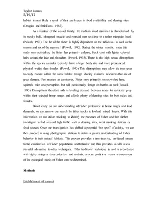 Taylor Luneau
5/10/12
habitat is most likely a result of their preference in food availability and denning sites
(Douglas and Strickland, 1987).
As a member of the weasel family, the medium sized mammal is characterized by
its stocky build, elongated muzzle and rounded ears set close to a rather triangular head
(Powell, 1993). The fur of the fisher is highly dependent on the individual as well as the
season and sex of the mammal (Powell, 1993). During the winter months, when this
study was undertaken, the fisher has primarily a dense, black coat with lighter colored
hairs around the face and shoulders (Powell, 1993). There is also high sexual dimorphism
within the species as males typically have a larger body size and more pronounced
physical weight than females (Powell, 1993). This dimorphism may allow the two sexes
to easily coexist within the same habitat through sharing available resources that are of
great demand. For instance as carnivores, Fisher prey primarily on snowshoe hare,
squirrels mice and porcupines but will occasionally forage on berries as well (Powell,
1993). Dimorphism therefore aids in leveling demand between sexes for restricted prey
within their selected home ranges and affords plenty of denning sites for both males and
females.
Based solely on our understanding of Fisher preference in home ranges and food
demands, we can narrow our search for fisher tracks to lowland mixed forests. With this
information we can utilize tracking to identify the presence of Fisher and then further
investigate to find areas of high traffic such as denning sites, scent marking stations or
food sources. Once our investigation has yielded a potential “hot spot” of activity, we can
then proceed to using photographic stations to obtain a greater understanding of Fisher
behavior in their natural habitats. This process provides a non-invasive, un-biased means
to the examination of Fisher populations and behavior and thus provides us with a less
stressful alternative to other techniques. If this traditional technique is used in accordance
with highly stringent data collection and analysis, a more proficient means to assessment
of the ecological needs of Fisher can be determined.
Methods
Establishment of transect
 