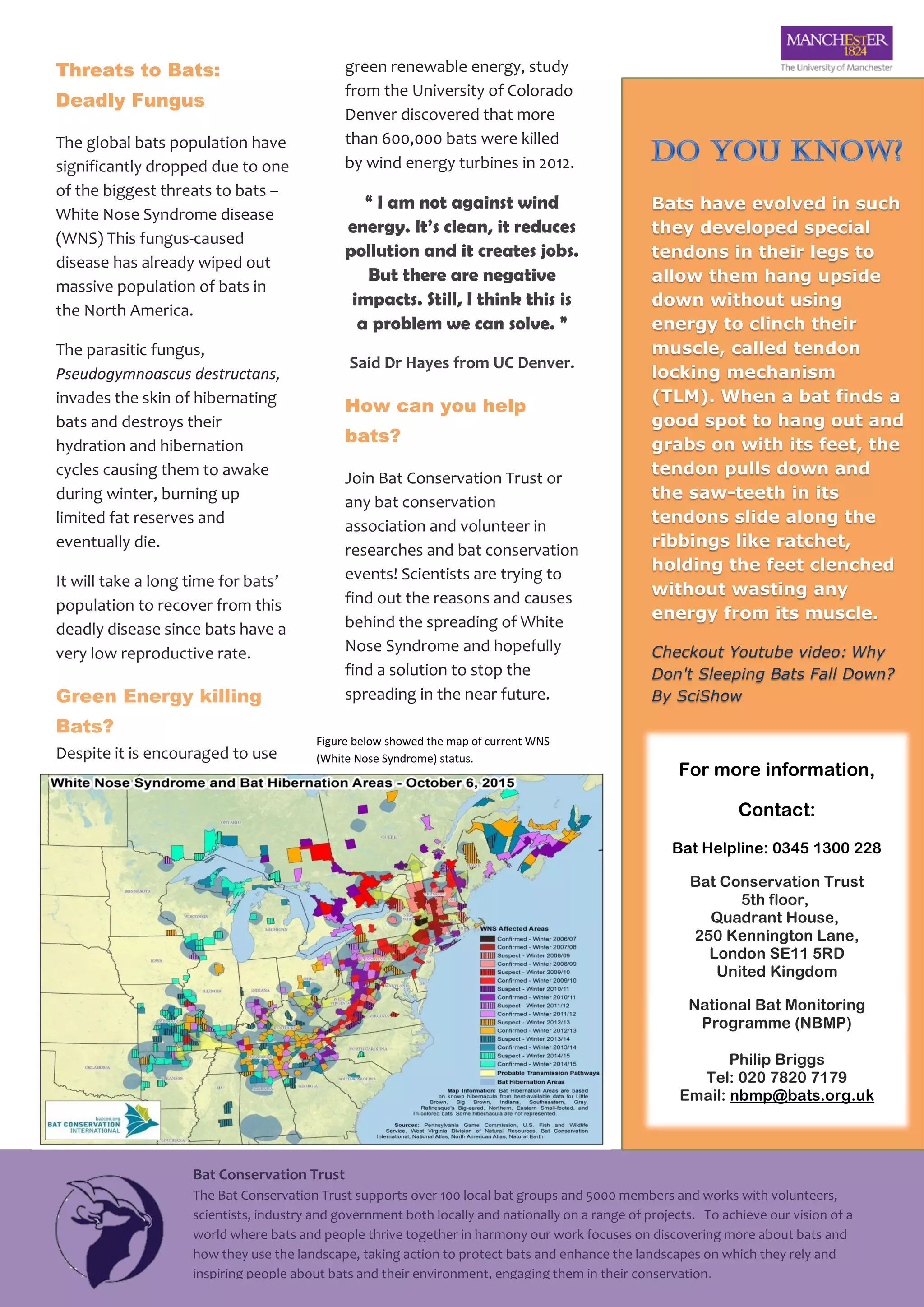 (9499338)BatFactSheet | PDF