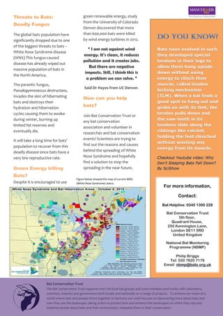 (9499338)BatFactSheet | PDF